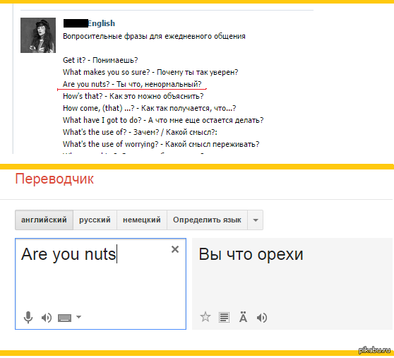 что значит nuts на сленге. Смотреть фото что значит nuts на сленге. Смотреть картинку что значит nuts на сленге. Картинка про что значит nuts на сленге. Фото что значит nuts на сленге