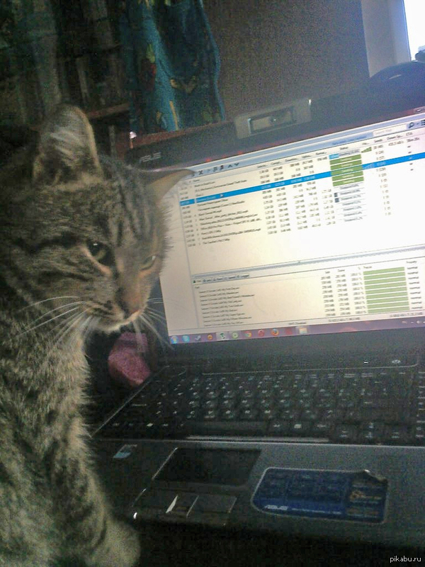 ������ � ������ �� ����� � ��������