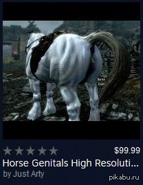 Literotica Horse