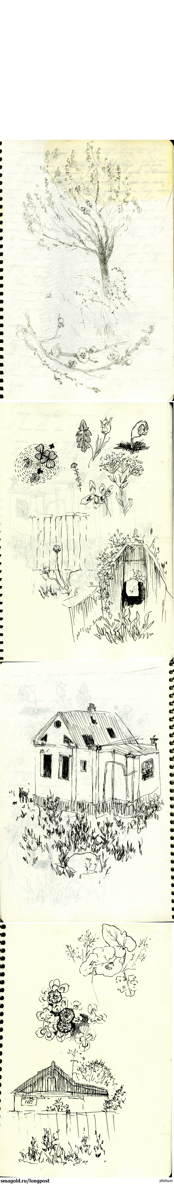 ��������� ������ �������!