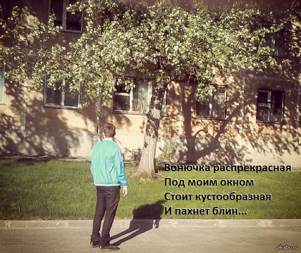 ���� ���������� �����������...