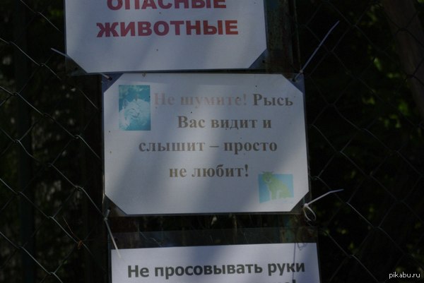 ������� � ����������� �������� :))