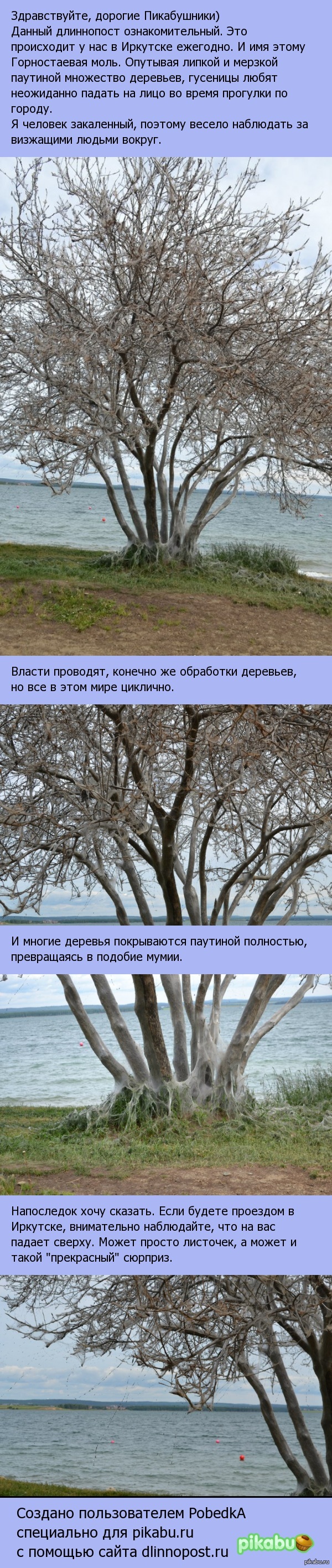 ,     ...  ,       .   ..