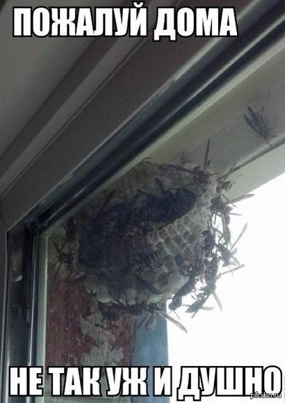 �������� �� ����� ��������