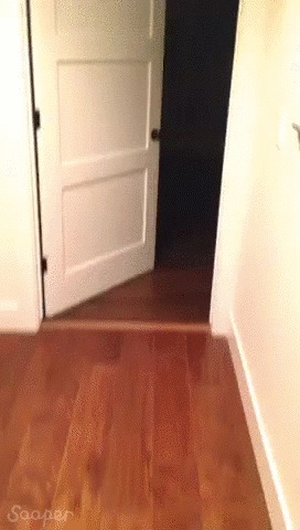 &quot;   ,  , ...&quot;