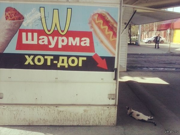 Hot-Cat     ...    .