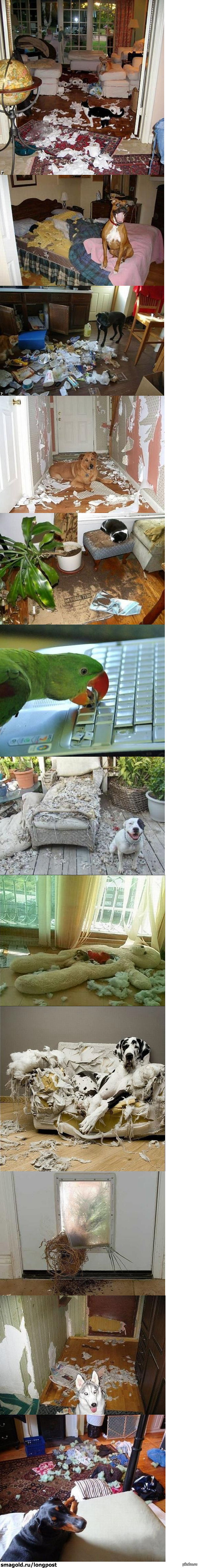 ��� �������, ����� ���� ���� ���� ))))