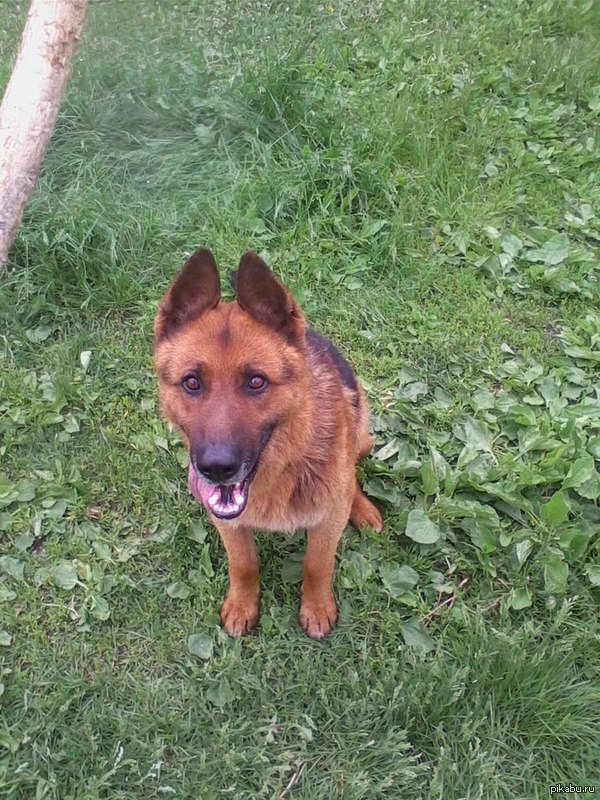 ����������