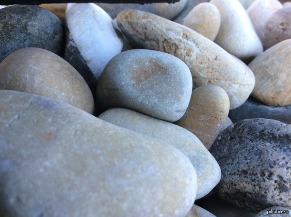 ��������� ����������