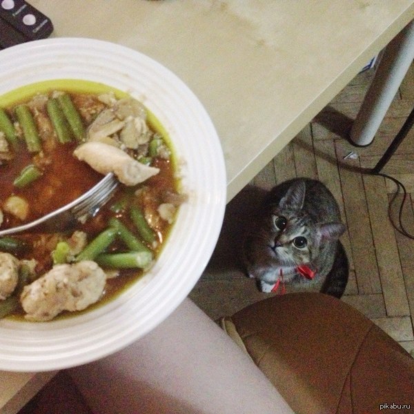 ���� �� ������, �� ������� � ����� �� ���� ��������� �������