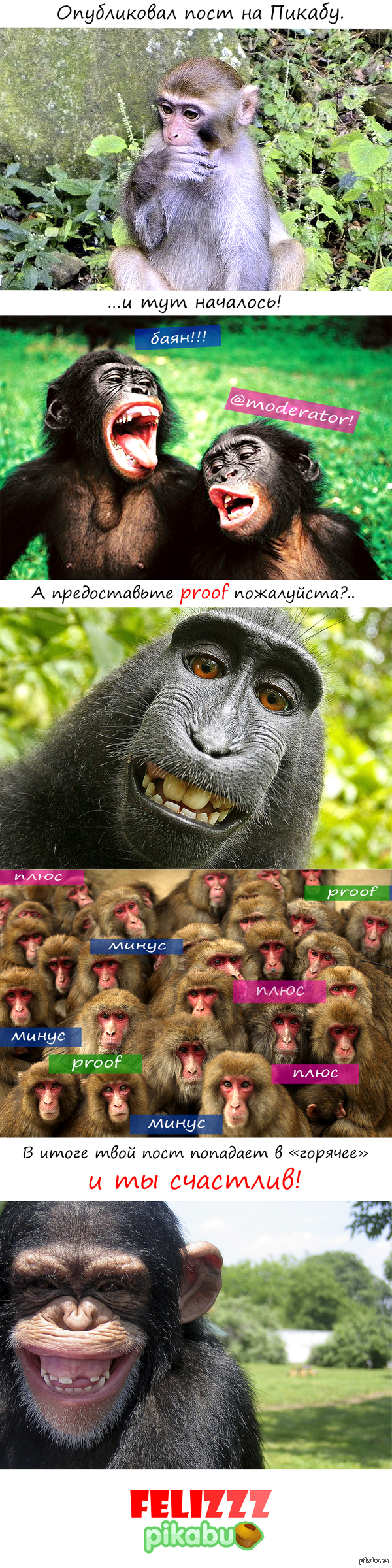 ��� � ��� ����.