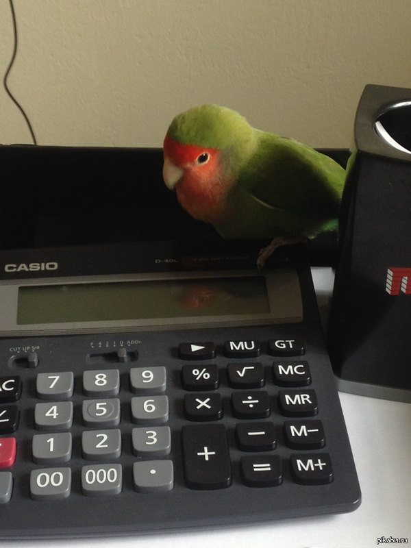 ������. ������ ������� �����������