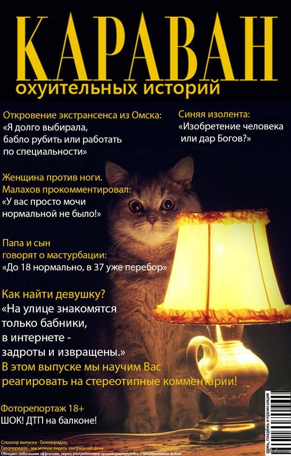 Караван замечательных историй. Пятничный выпуск.