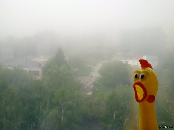 ������ �����, ������� ������