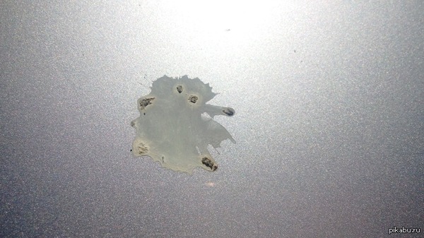 ������� ����