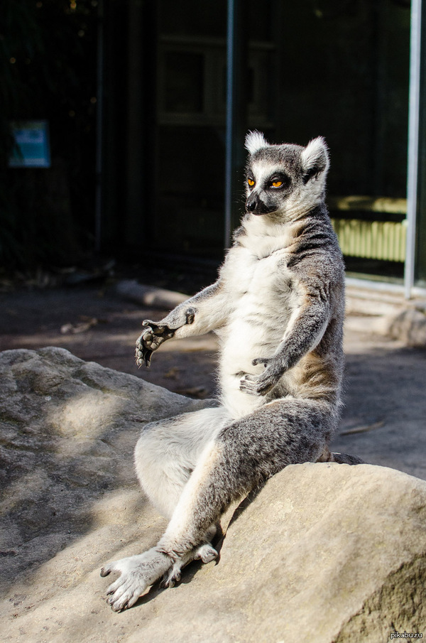 Твое лицо, когда...