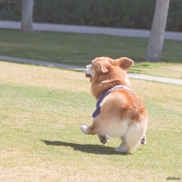 ��� � ����� �� ������� :)