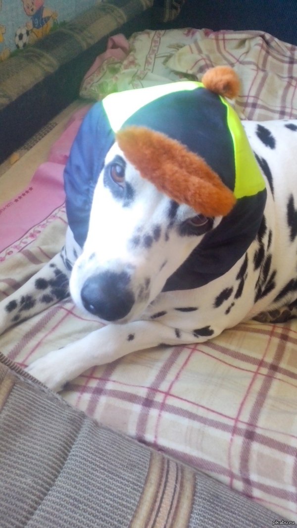 ������� ����� � ���� ������