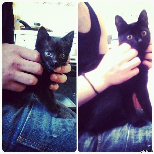 ��� ��������