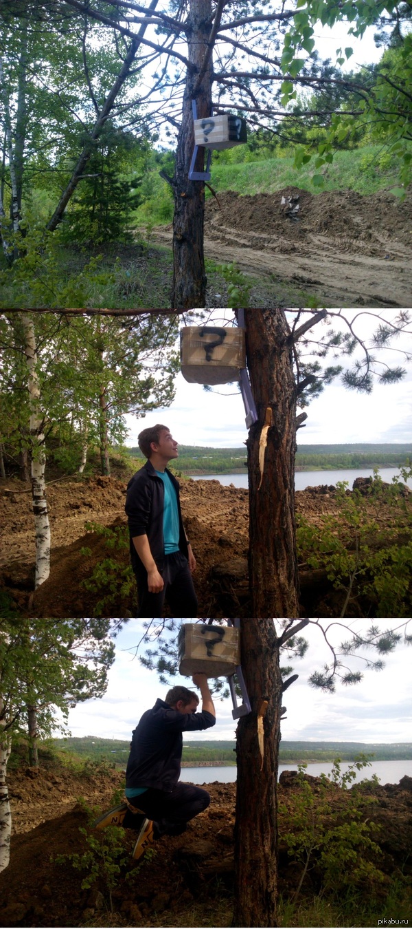 Гуляя по лесу, нашёл блок из "Mario"