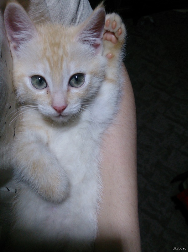 ��� ��� ����������� ��� ���