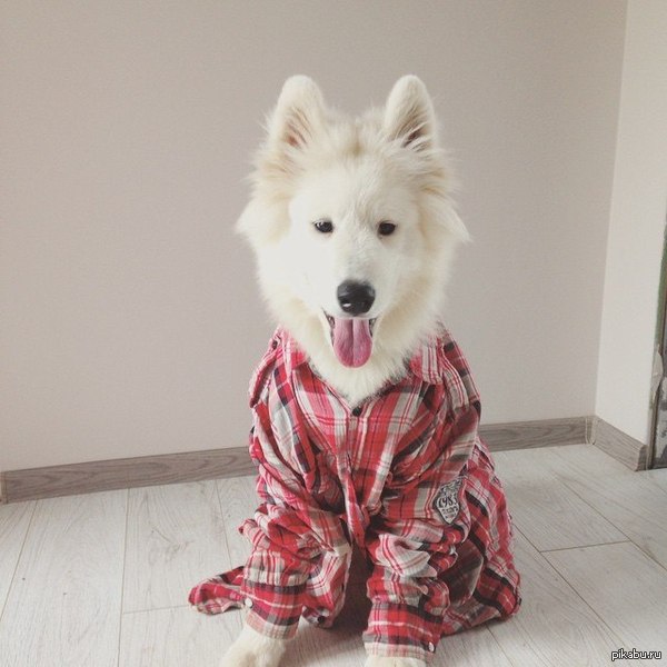 ������� � ������ ���� � ���� :)