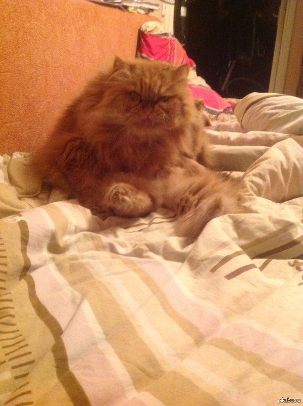 ���� ���� ����� ���� ��������� ���������� �� ������, � �� �� � ����������