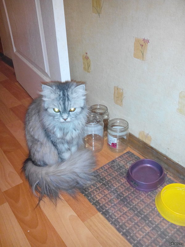 �, ���� ����������� ������..