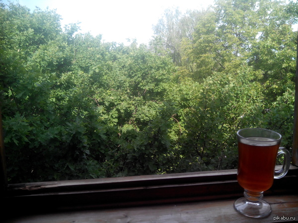 Вид из моего окна (5 этаж)