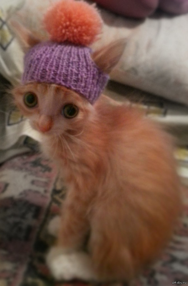 ������� ������� ��� �������)