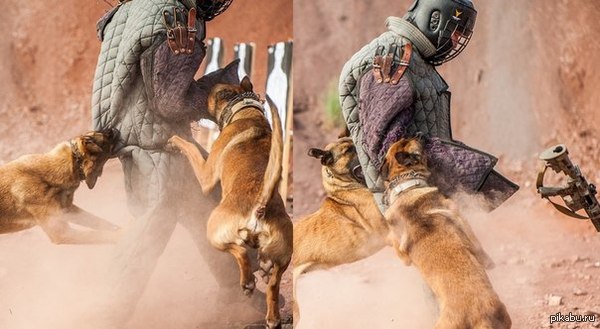 Вот у кого действительно плохая работа