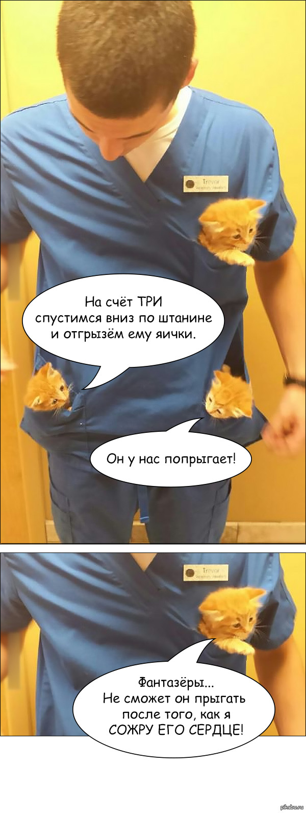      <a href="http://pikabu.ru/story/drug_rabotaet_v_veterinarnoy_klinike_3413583">http://pikabu.ru/story/_3413583</a>