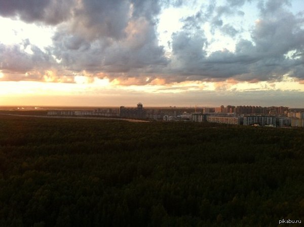 Вид из моего окна