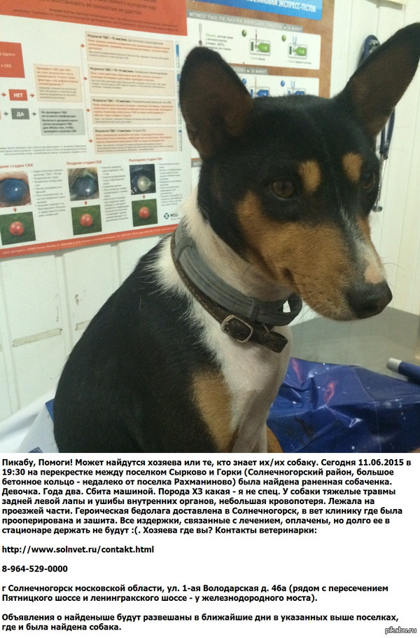 ������� �������������� ������ (������ �� ������� � ���. �������)