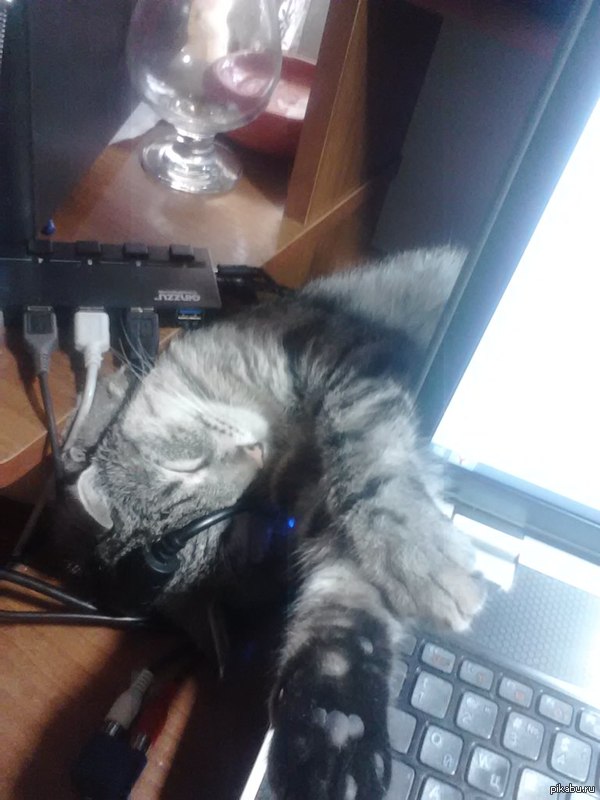 ��� �� ������ �� ��������?