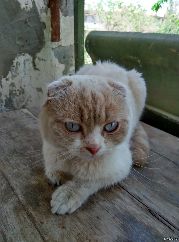 ������ ����, ��� �� ����������, ���� ����� �������� � ��� ��� ����� �������