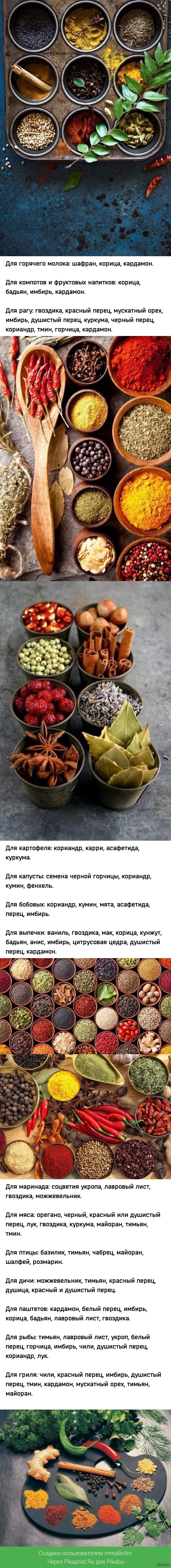 Путеводитель по специям