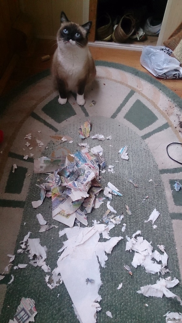 ������� ����� , � ���...