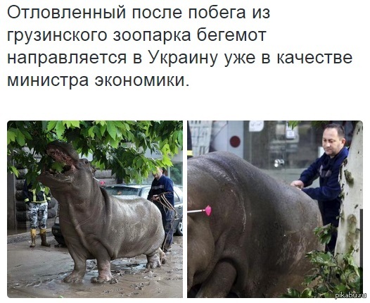  http://rus.newsru.ua/world/14jun2015/godzilla.html