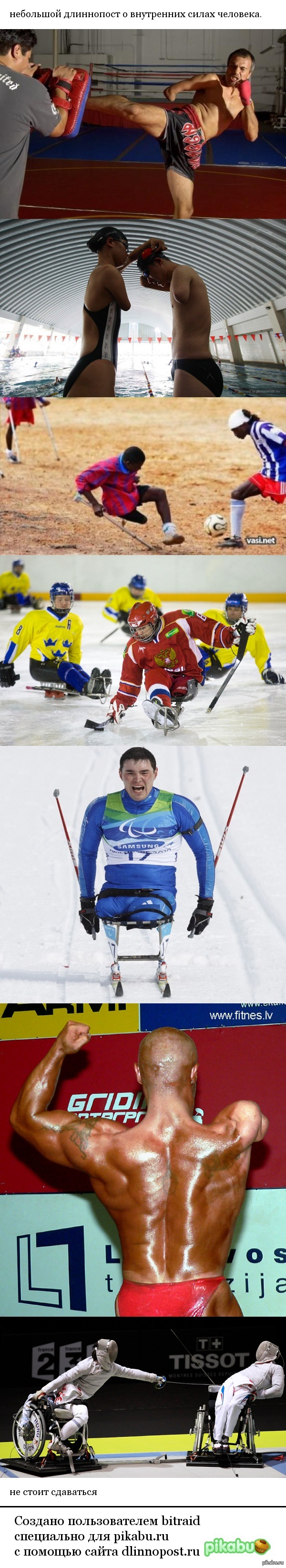 � ���������� ���� ����