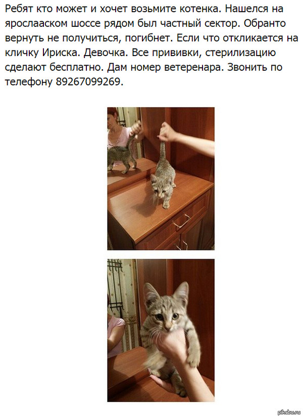 ������� ���� ����� �����