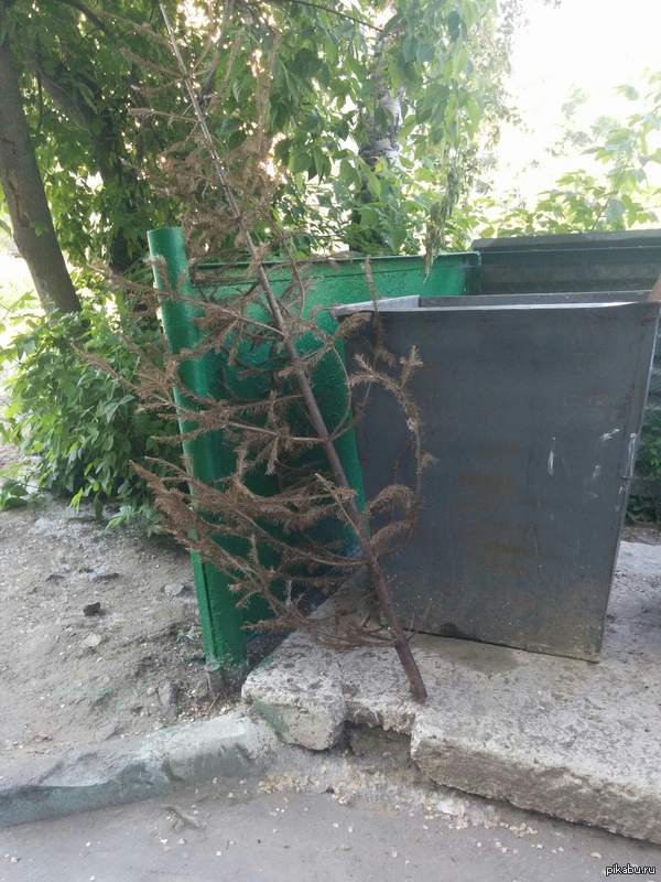 ��� 14 ���� ��� ���� ������ ������!