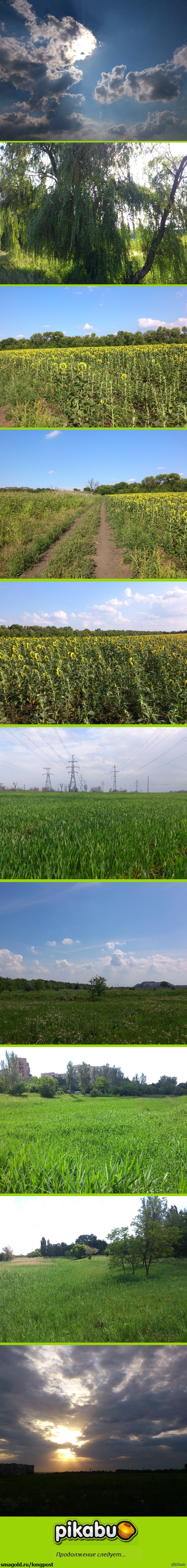 ������� ������� �������