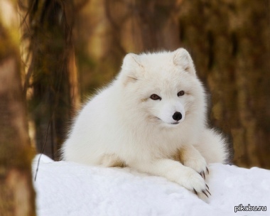 ������ �  ������.