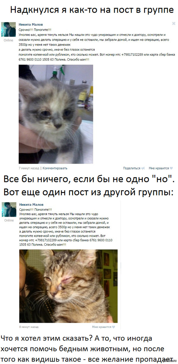 �������� ��������