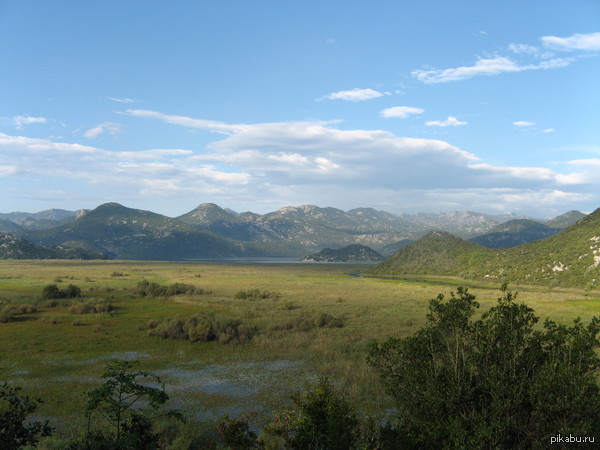 Черногория. Скадарское озеро.