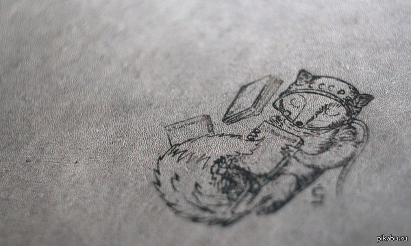 Космическая лиса.