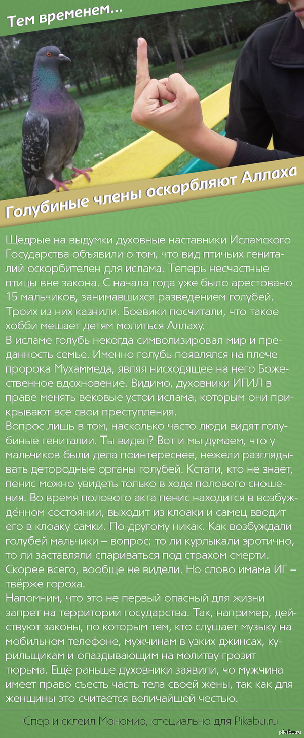 Самые глупые законы: истории из жизни, советы, новости, юмор и картинки —  Все посты, страница 66 | Пикабу