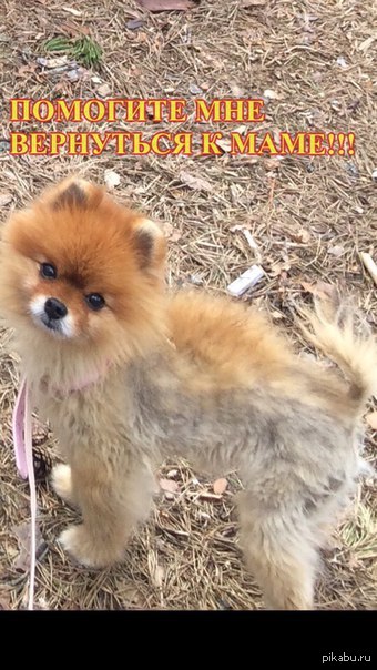 !!!! SOS! SOS!SOS!  !!!!!