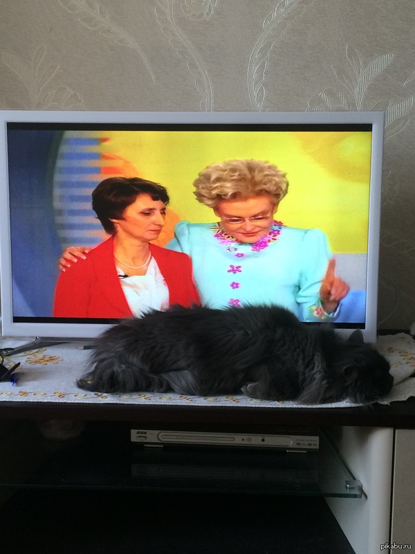 Малышева недовольна